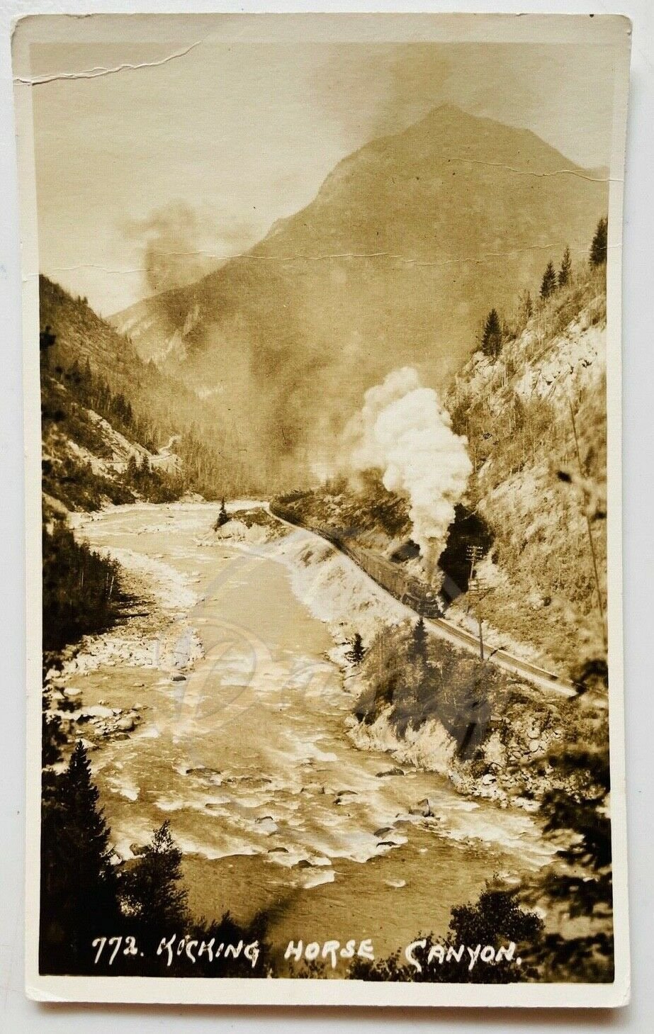 TRAIN Rocking Horse Canyon Railway Byron Harmon BW Photo Postcard Canada