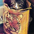 KITTEN Inside Tiger Trash Can Dream Big Argus Poster 1970s Made USA Vintage
