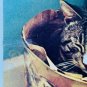 KITTEN Inside Tiger Trash Can Dream Big Argus Poster 1970s Made USA Vintage