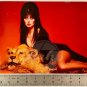 ELVIRA Laying On Lion Rug 8x10 Glossy Color Photo Framed Horror Vintage USA 18