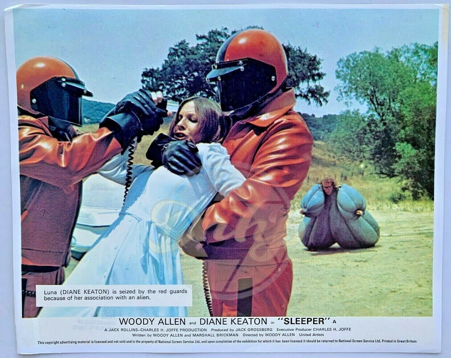 SLEEPER Diane Keaton 8x10 Color (1 photo) 1973 Movie Promotional Lobby Card