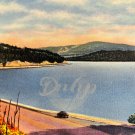 LAKE SHORE DRIVE Coeur d'Alene Idaho Linen Postcard Blank USA Vintage