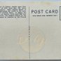 STATUE OF LIBERTY New York Postcard Litho Made USA Vintage