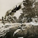 MYSTERIOUS ISLAND 8x10 B&W (1 photo) Crab Monster 1961 RARE