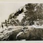 MYSTERIOUS ISLAND 8x10 B&W (1 photo) Crab Monster 1961 RARE