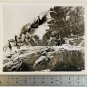 MYSTERIOUS ISLAND 8x10 B&W (1 photo) Crab Monster 1961 RARE