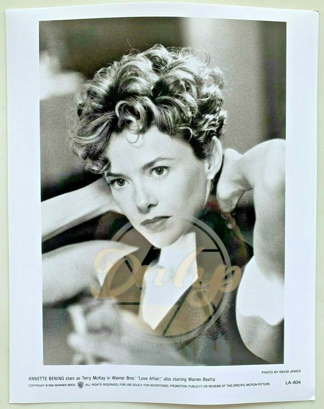 ANNETTE BENING Love Affair 8x10 B&W (1 photo) 1994 Movie Promotional ...