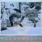 MYSTERIOUS ISLAND 8x10 B&W (1 photo) Dragon 1961 Lobby Card RARE