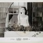 INTERIORS Kristin Griffith 8x10 B&W (1 photo) 1978 Movie Promotional Lobby Card