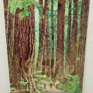PAUL BUNYAN Washington State Forests Postcard After War Blank Made USA Vintage