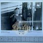 MELANIE GRIFFITH Pacific Heights 8x10 B&W (1 photo) 1990 Movie Promo Lobby Card