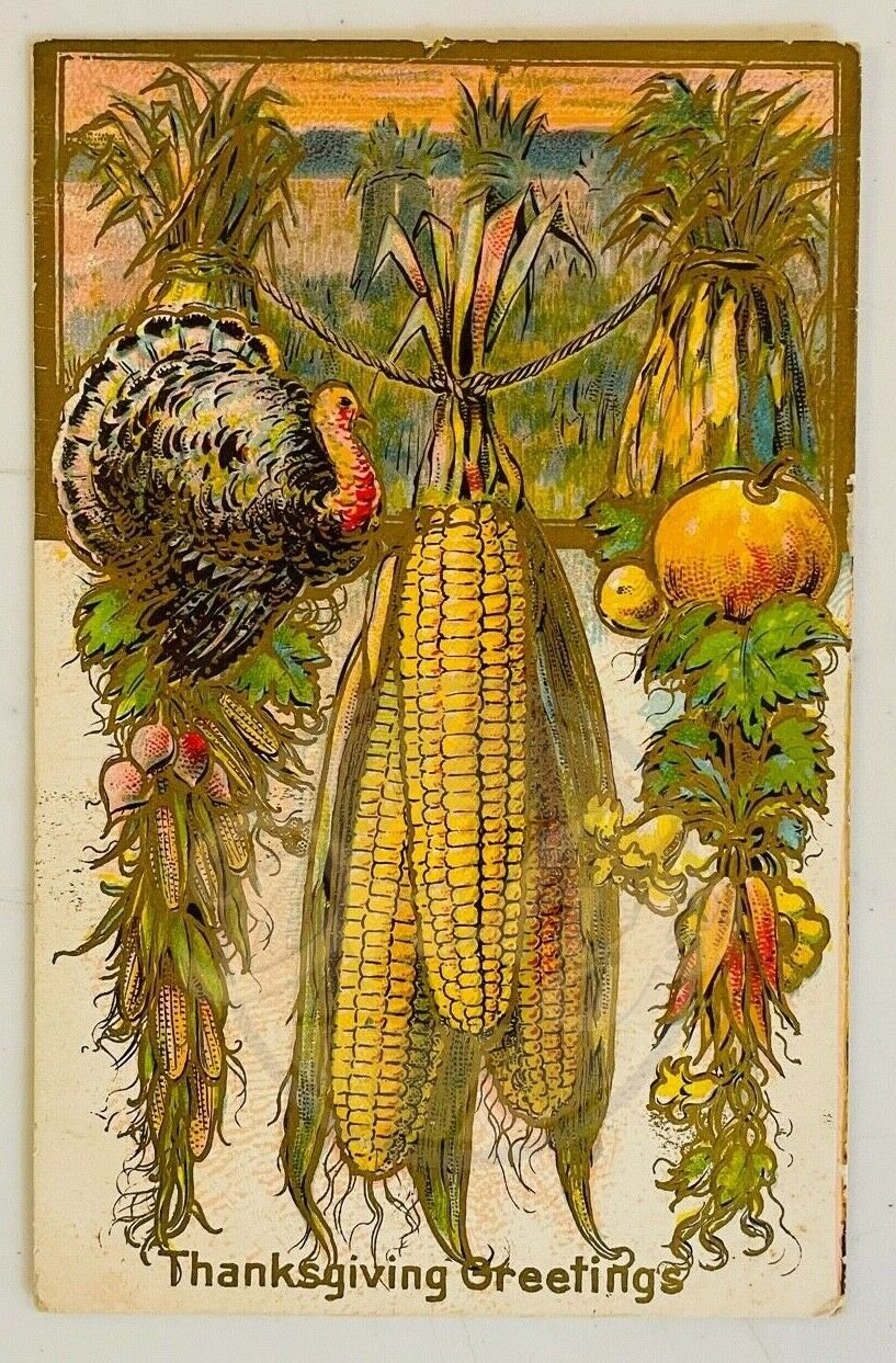 CORN TURKEY VEGETABLES Embossed Thanksgiving Greetings Postcard 1909 Posted