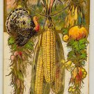 CORN TURKEY VEGETABLES Embossed Thanksgiving Greetings Postcard 1909 Posted