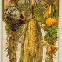 CORN TURKEY VEGETABLES Embossed Thanksgiving Greetings Postcard 1909 Posted