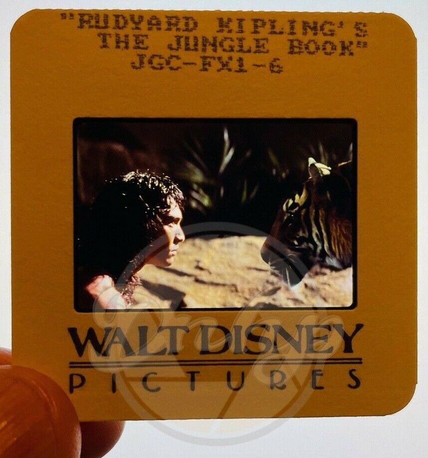 THE JUNGLE BOOK Face The Tiger 2x2 (1 film cell) Walt Disney Mounted 1994