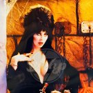 ELVIRA Spiders Web 8x10 Photo Framed Horror Vintage USA 22