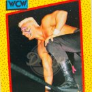 STING WCW Wrestling 13 World Championship Wrestling Impel Trading Card USA 1991