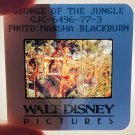 GEORGE OF THE JUNGLE Brendan Fraser 2x2 (1 film cell) Walt Disney Mounted 1997