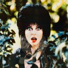 ELVIRA Mistress Of The Dark Hedge 8x10 Horror Photo From Negative Vintage USA 28