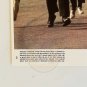 8 MILLION WAYS TO DIE Andy Garcia 8x10 Color (1 photo) 1986 Movie Lobby Card