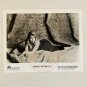 SHANNON WHIRRY Animal Instincts 2 8x10 B&W (1 photo) 1994 Movie Promo Lobby Card