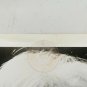 THE STRIPPER Joanne Woodward 8x10 B&W (1 photo) 1963 Photo