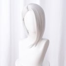 Ashe Overwatch Cosplay Wig