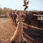 Vintage Country Western Wedding Dresses Lace Beach Bridal Gowns