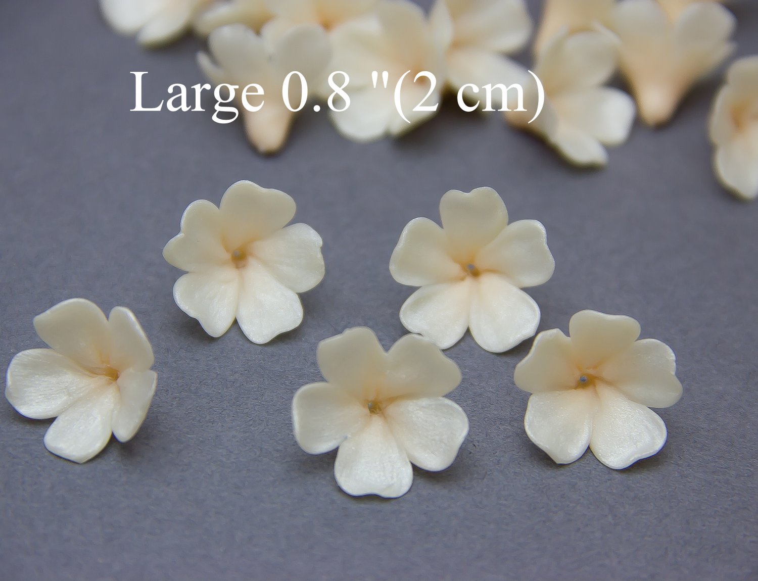 Large Pearl/ Beige Flowers Beads Flowers 0,8" ( 2 cm), Caft flowers making jewelry