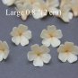 Large Pearl/ Beige Flowers Beads Flowers 0,8" ( 2 cm), Caft flowers making jewelry