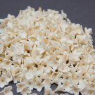 White/ Beige flower Beads 0,4" (10-12 mm ), Beige inside, white at the edges of the petals.