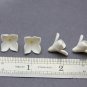 White Large FLOWERS! 0,6" ( 1,5 cm), Supplies beads Flowers for crafts