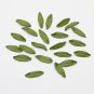 Olive leaves polymer clay, Green leaves beads 0.8"-1" (2cm-2.5 cm), Leaf jewelry supplies