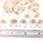 Large White Beige Flowers Beads polymer clay 0,6"( 1,5 cm), Cafts Flowers, Flowers jewelry making