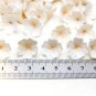 Large White Beige Flowers Beads polymer clay 0,6"( 1,5 cm), Cafts Flowers, Flowers jewelry making