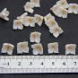 Pearl/ Beige flower Beads 0,4" (10-12 mm ), Beige inside, pearl at the edges of the petals.