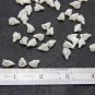 Pearl Small Buds flowers 1 cm, Floral Buds beads with three petals, Supplies beads