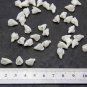 Pearl Small Buds flowers 1 cm, Floral Buds beads with three petals, Supplies beads