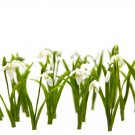Small Snowdrop With Leaves For Home Decor (10 pcs), Snowdrops Made Polymer Clay Small Snowdrop With Leaves For Home Decor (10 pcs), Snowdrops Made Polymer Clay