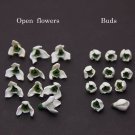 Snowdrops Flowers Beads Polymer Clay Beads White Handmade Beads Jewelry supplies Snowdrops Flowers Beads Polymer Clay Beads White Handmade Beads Jewelry supplies