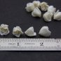 Pearl Buds Roses Polymer clay 0,36 "-0,4" (0,9-10mm), Roses Beads Jewelry Makingg jewelry