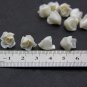 Pearl Buds Roses Polymer clay 0,36 "-0,4" (0,9-10mm), Roses Beads Jewelry Makingg jewelry