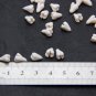 Ivory Flowers and Buds Polymer Clay , Floral beads, Weding Beads Jewelry Making,