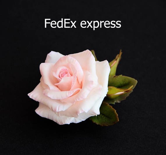 Surcharge for express delivery