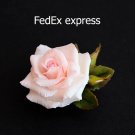 Surcharge for express delivery