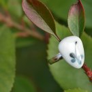 Order to Make-10pcs Handpainted fine china ring