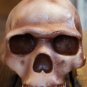 Homo Sapiens replica Skhul 5 Full-size reconstruction replica, Hominids, ancient