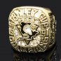 Drop Shipping Available 1991Pittsburgh Penguins Stanley Cup Championsh
