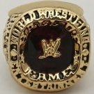 Factory Direct Sale 2008 wrestling entertainment Hall of fame replica