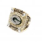 2010 National Football League SUPER BOWL XLV GREEN BAY PACKERS 3D Desi